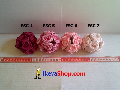 FSG 4 7  large2